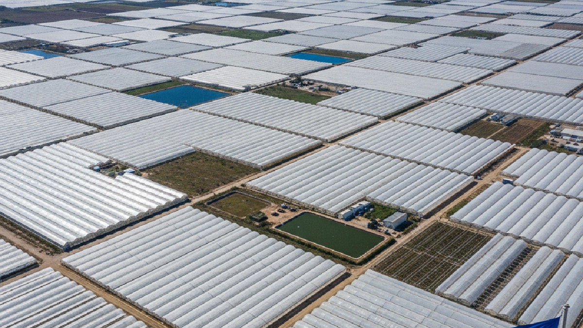 Desafíos regulatorios europeos para las importaciones hortofrutícolas de Almería