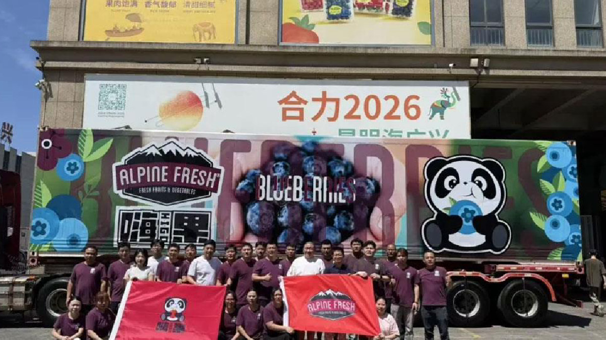 Arándanos de Alpine Fresh agotan existencias en China tras debut de temporada