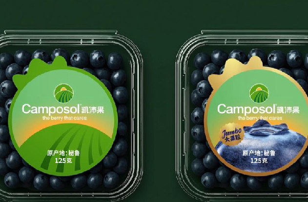 Arándanos peruanos refuerzan marca BerryCo en Asia con envíos robustos