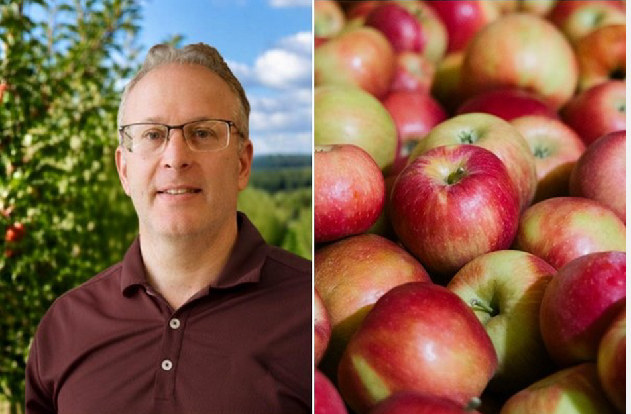 Demanda robusta y calibres grandes marcan el inicio de la cosecha de manzana en Míchigan