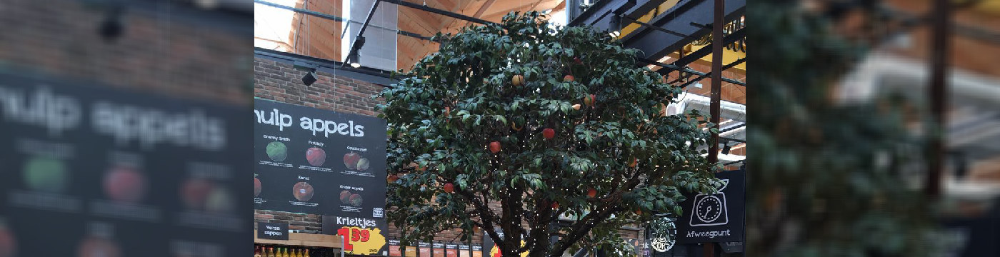 Holanda prevé una menor cosecha de manzanas pero un aumento en peras