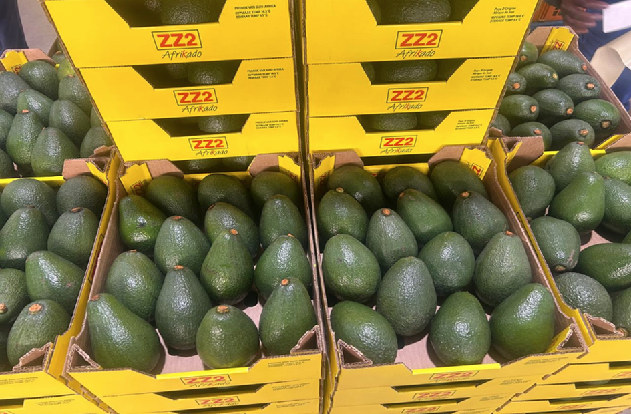 Impacto de El Niño en el mercado global de aguacates de 2027