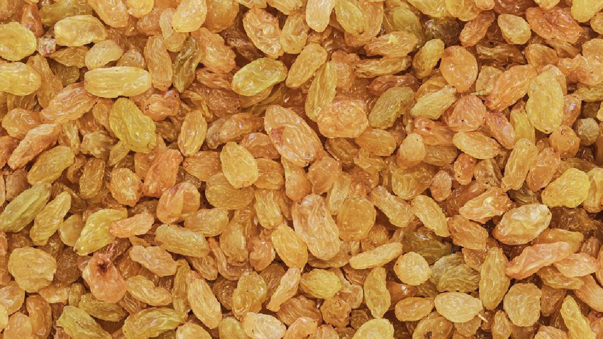 La UE aprueba nuevo acuerdo arancelario para frutos secos y deshidratados de EE. UU.