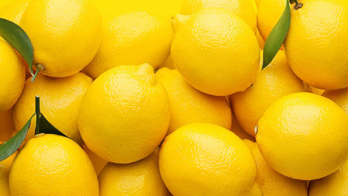 Limones sudafricanos para 2026: lluvia y geopolítica definen su exportación