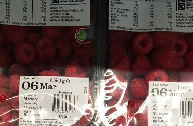 Marruecos Afianza su Posición en el Mercado Británico de Frambuesas