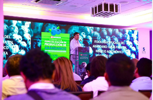 México impulsa la producción de arándanos con eventos técnicos
