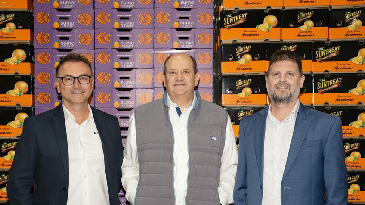 Modernización de Legacy Packing Impulsa Sector Hortofrutícola