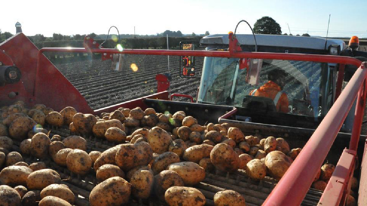 Morrisons potencia la expansión internacional de Myton Food Group