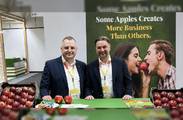 Navegando el complejo mercado europeo de la manzana: claves para el éxito
