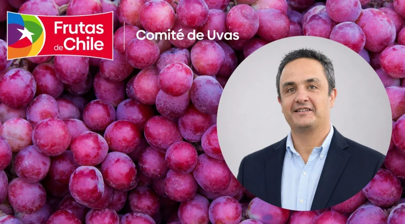 Nombramiento clave en el Comité de Uva de Mesa chileno