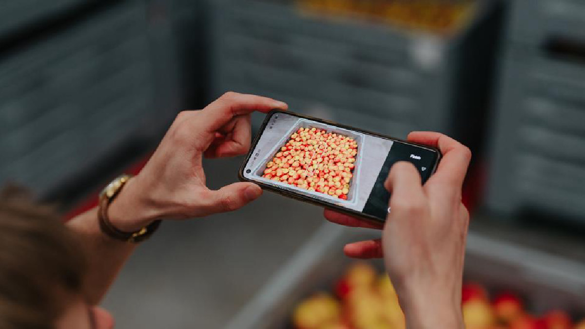 Optiflux recauda fondos para escalar su sistema de calidad frutícola