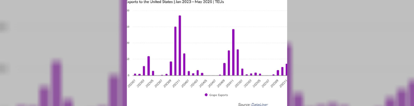 Uvas brasileñas enfrentan aranceles en el mercado estadounidense