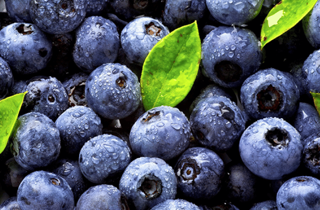 JCLM Farming expande su producción de fresas en Tasmania
