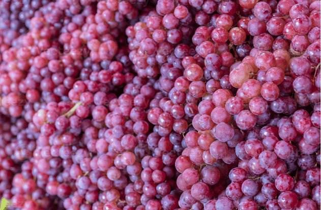 Mercado global de uvas de mesa ante desafíos y oportunidades