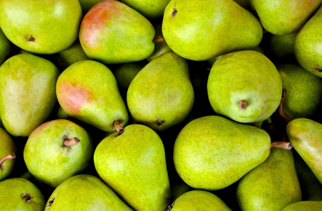 CMI Orchards inicia la campaña de pera con optimismo