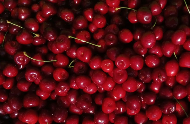 Mercado europeo de cerezas: desafíos y optimismo en la campaña